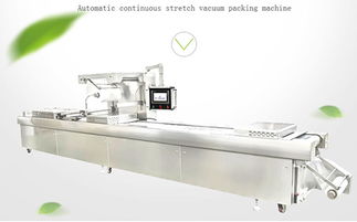 米砖食品包装机械控制继电器的安装与维护指南